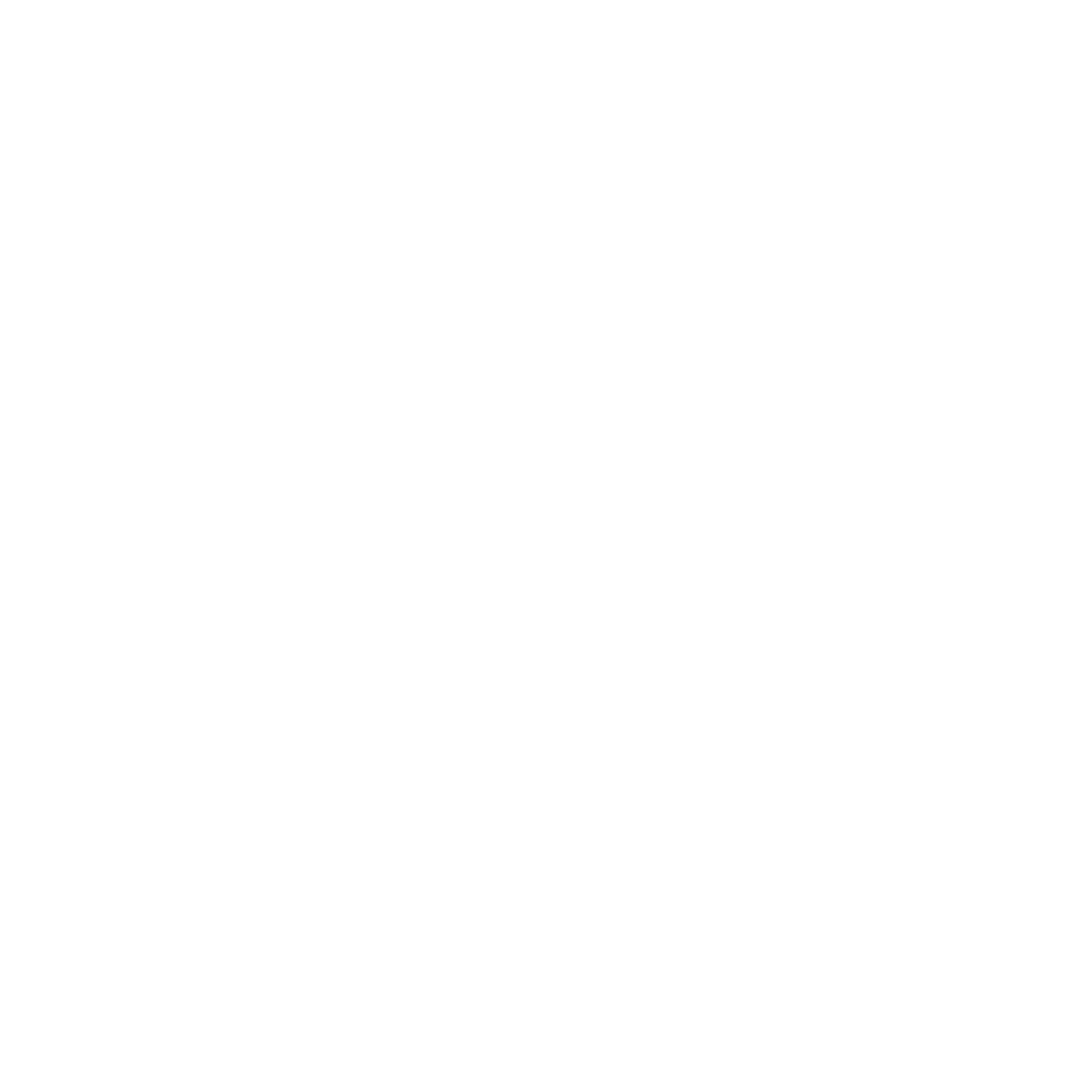 Mississippi STATE
