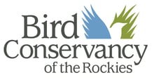 bird rockies