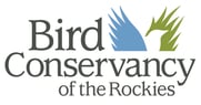 bird rockies