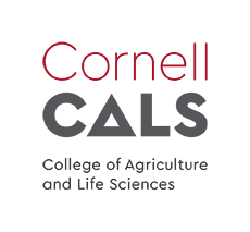 Cornell University logo