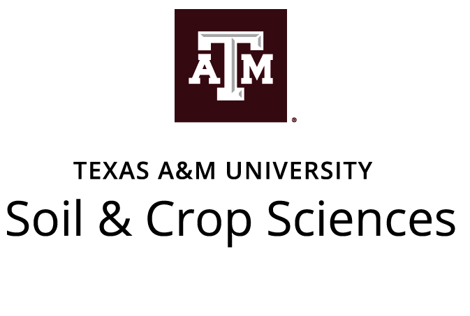 Texas A&M: Tenured/Tenure-Track: Open Rank