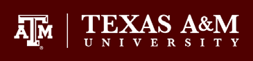 Texas A&M University seeks Instructional Assistant Professor