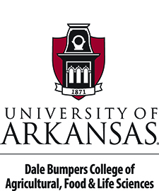 University of Arkansas Seeks Academic Advisor