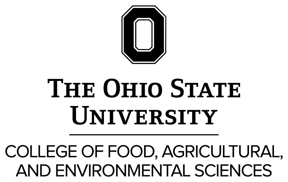 The Ohio State University Seeks an Associate Dean & Director of Academic Programs