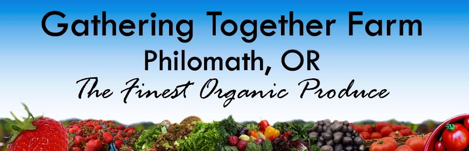 Gathering Together Farm Seeks a Production Team Member
