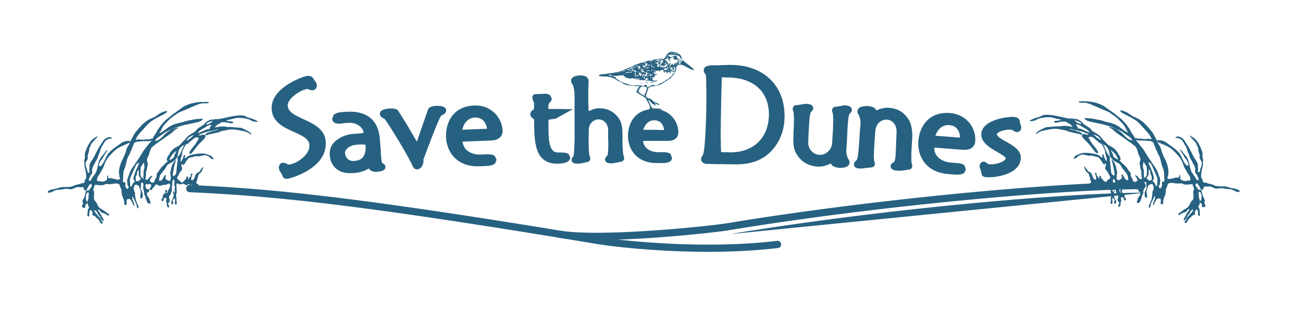 Save the Dunes Seeks Program Coordinator, Community Engagement