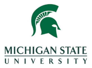 MSU Seeks Chairperson