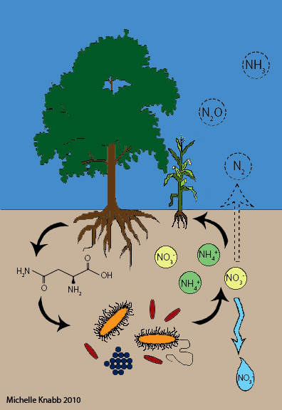 Kaye Biogeochemistry Lab at Penn State Seeks Research Assistants