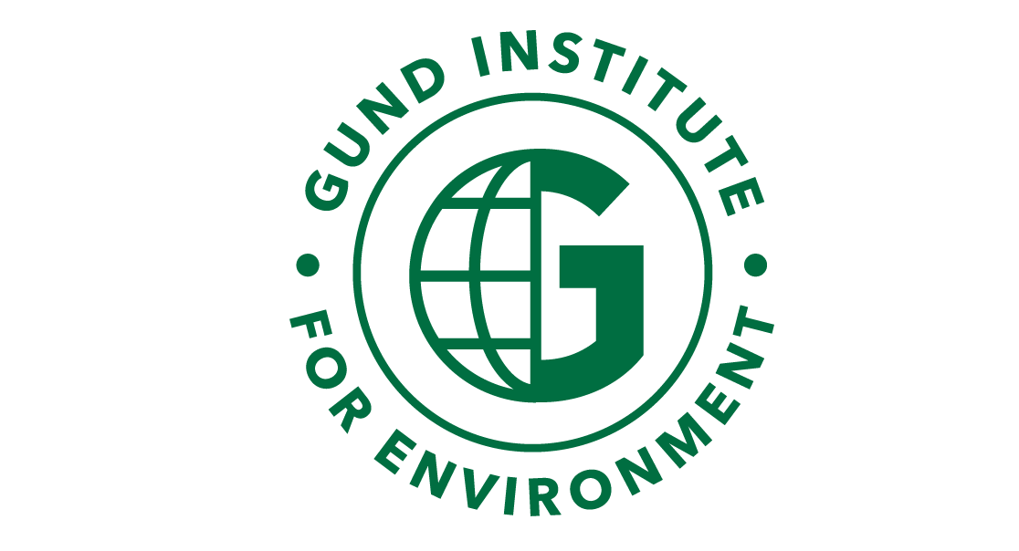 Gund Institute: Postdoctoral Fellow