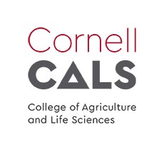 Cornell University logo