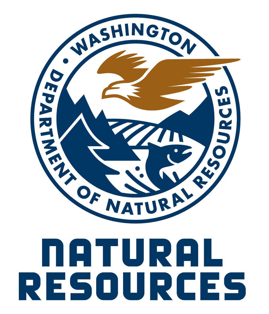 Washington State Department of Natural Resources logo